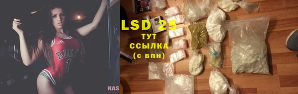 прущие грибы Алексин