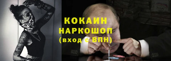 прущие грибы Алексин